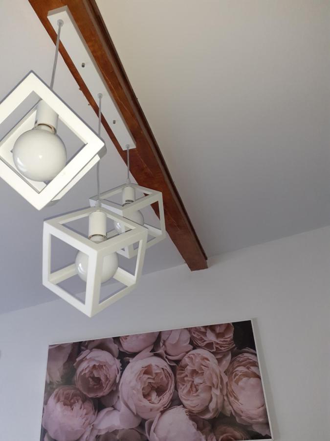 Flora Novi Sad Apartment Bagian luar foto