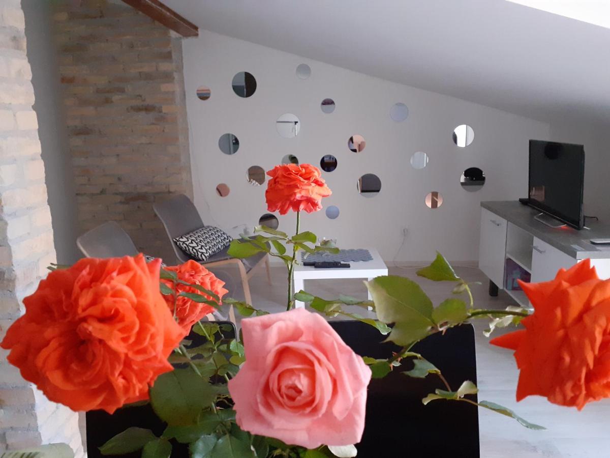 Flora Novi Sad Apartment Bagian luar foto