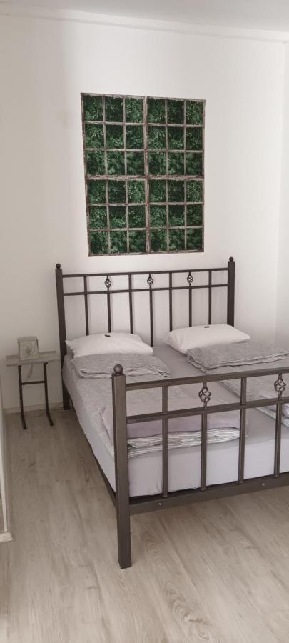 Flora Novi Sad Apartment Bagian luar foto