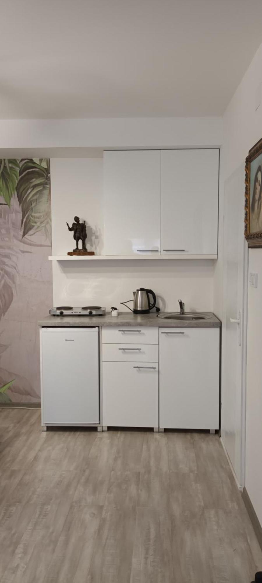 Flora Novi Sad Apartment Bagian luar foto